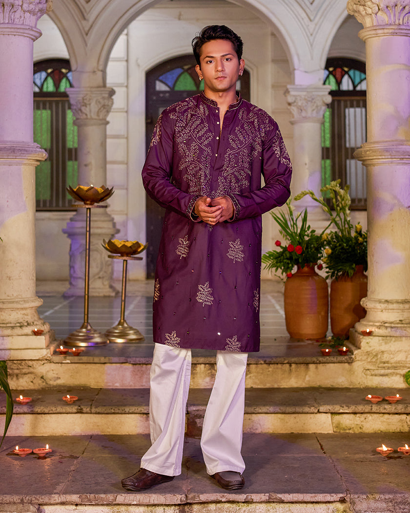 The Imperial Plum Embroidered Mirror Kurta.