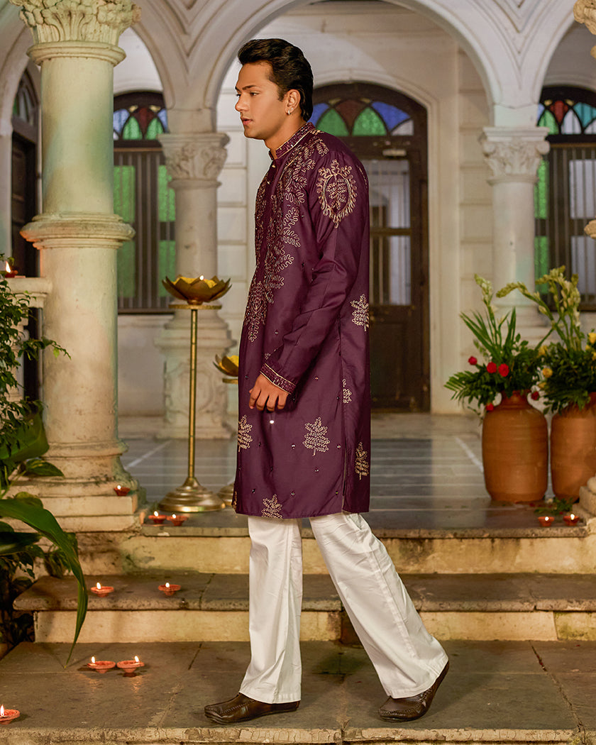 The Imperial Plum Embroidered Mirror Kurta.
