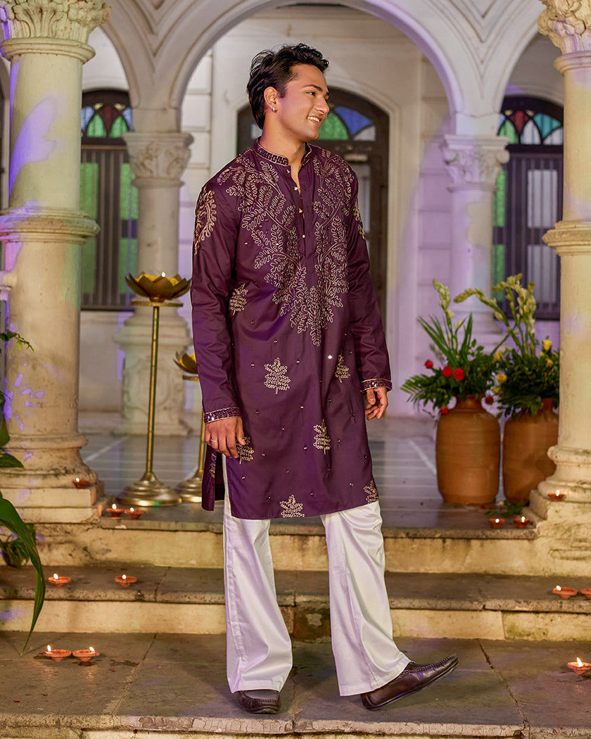 The Imperial Plum Embroidered Mirror Kurta.