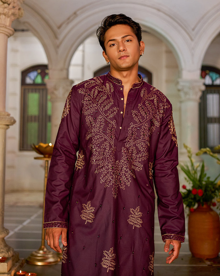 The Imperial Plum Embroidered Mirror Kurta.
