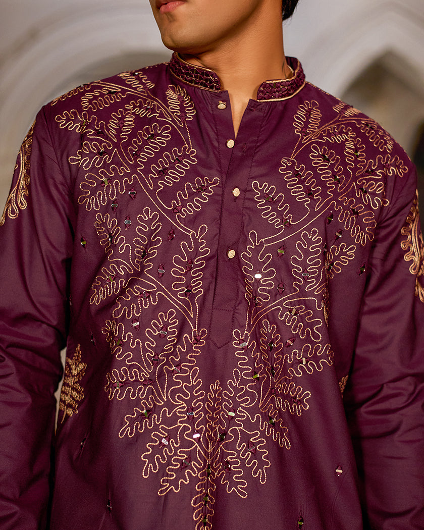 The Imperial Plum Embroidered Mirror Kurta.