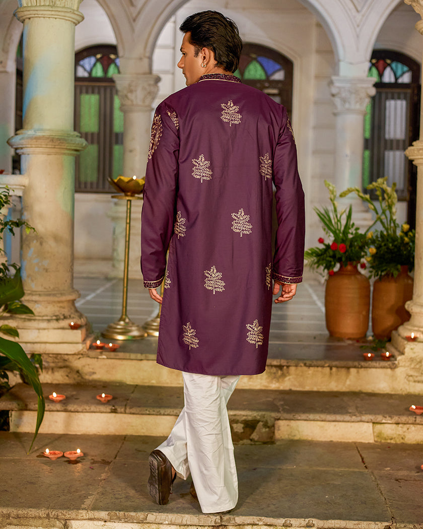 The Imperial Plum Embroidered Mirror Kurta.