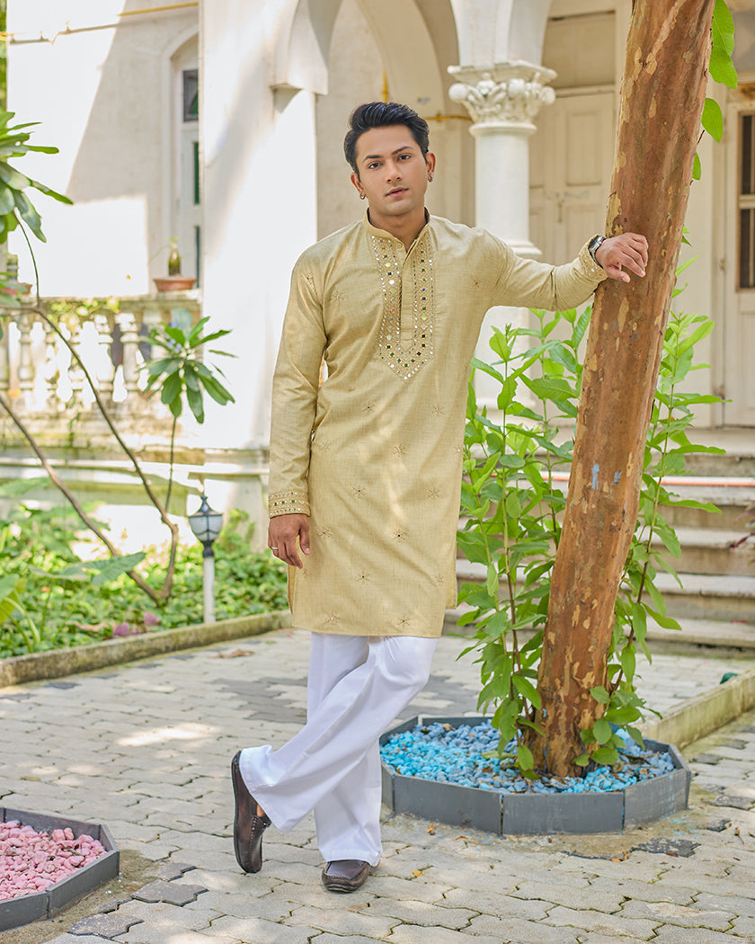 Golden Radiance Mirror Kurta set