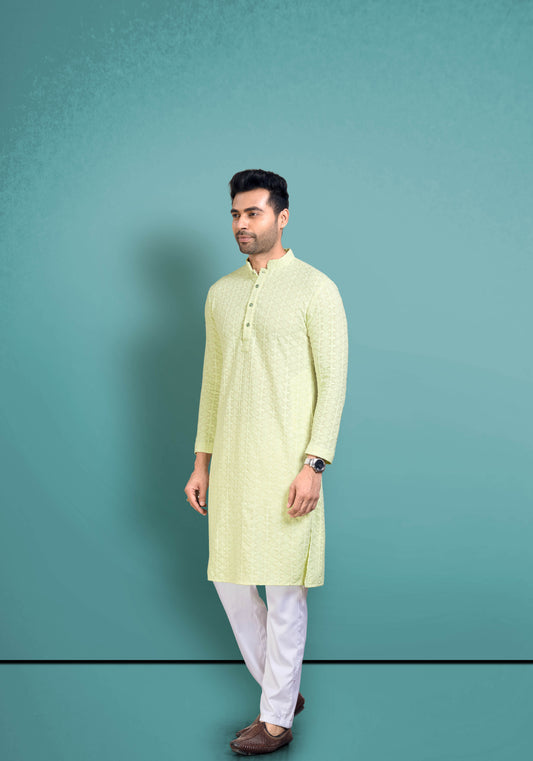 Pastel Lime chikankari kurta